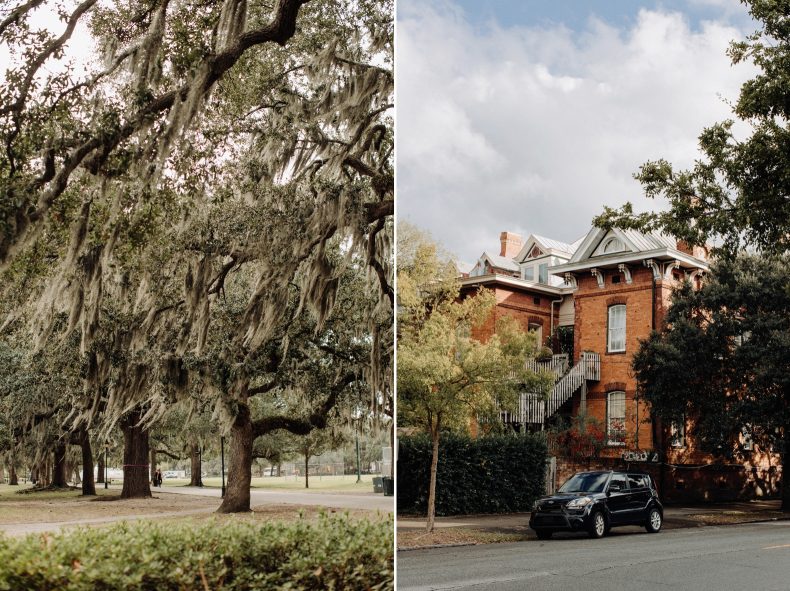 spanish moss trees on left and warm orange brick home on right