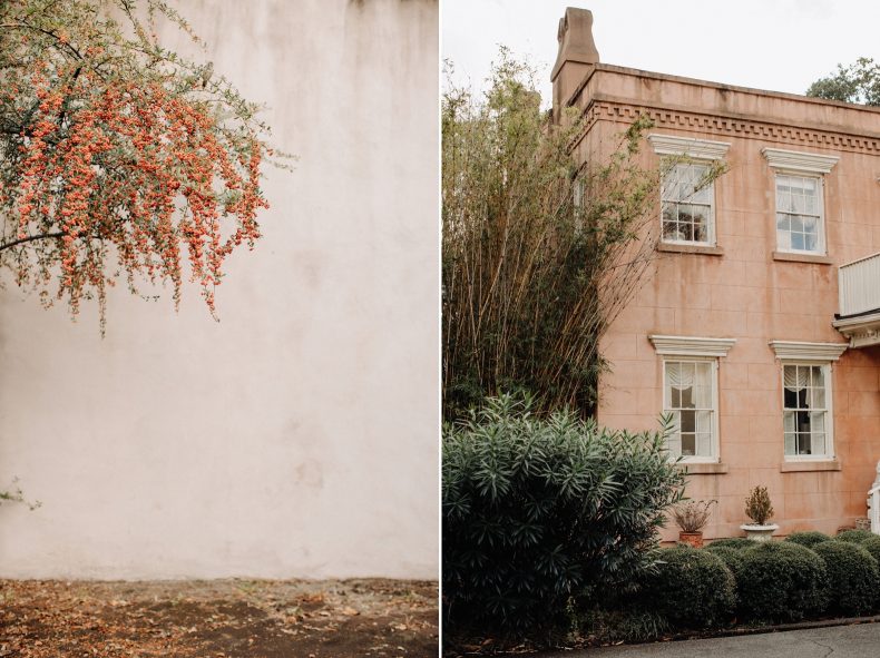 warm distressed wall with beautiful flowers tree and creamy pink historic home